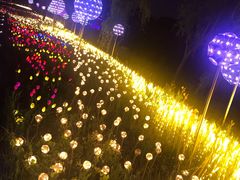 -怡海公园(桂城街道)