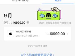 -Apple零售店(新街口店)
