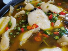 鲜椒鲈鱼片-唐廊烤鸭店(工体店)