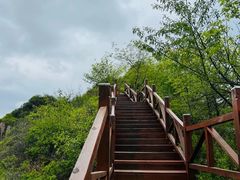 -大岭沟猕猴桃谷风景区