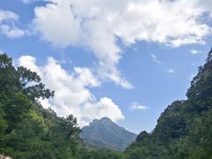 -牛背梁国家森林公园