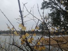 -美兰湖景区