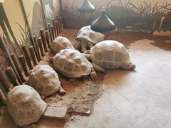 -石家庄市动物园