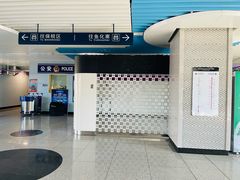 -国际港务区(地铁站)