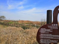 -盐城丹顶鹤湿地生态旅游区