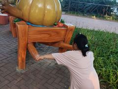 -北戴河集发农业梦想王国