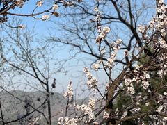 -香山公园