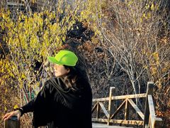 -大岭沟猕猴桃谷风景区