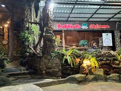 -绿光森林餐厅