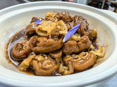 -花锦堂·隐庐