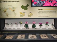 -四川大学博物馆