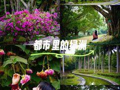 -南宁南湖公园