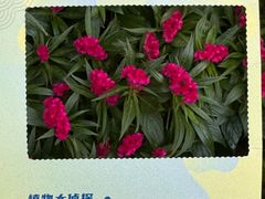 -广州花园酒店