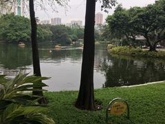 -晓港公园