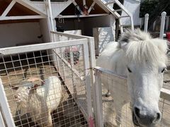 -金庭庄园酒店-停车场