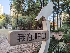 -苏州河梦清园环保主题公园