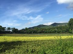 iphone_upload_pic-东部华侨城