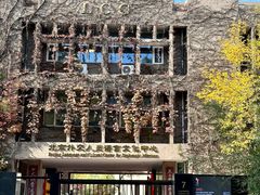 -一坐一忘云南菜(三里屯店)