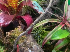 -Rabbit Cafe私房西餐甜点咖啡(栖霞路店)