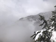 -朱雀国家森林公园