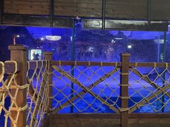-海合安青岛极地海洋公园