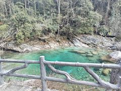 -黄山翡翠谷景区