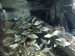 -福州罗源湾海洋世界旅游区