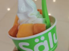 -Salud撒露欧洲冻酸奶(蓝色港湾店)