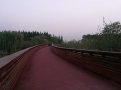 -昆山城市生态森林公园