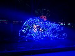 -沈阳奥体冰雪嘉年华