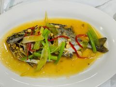 -潮静·潮州小馆·海鲜·卤味·砂锅粥