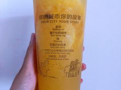 橙子多多肉-常来茶·水果研究所(西溪里店)