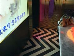 -温莎KTV(珠江路店)