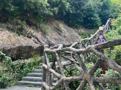 -东莞市大岭山森林公园