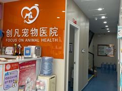 -创凡宠物医院·骨专科  猫科中心(西乡分院)