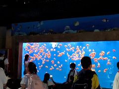 -南京金牛湖风景区