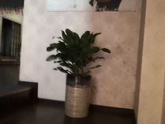-和风融合餐厅创意料理(重庆店)