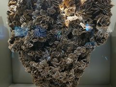 -甘肃地质博物馆