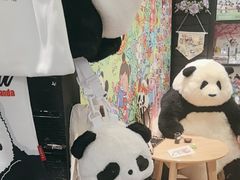 -轩客会(熊猫书店)