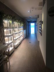 -摩睫+皮肤管理·科学美容中心