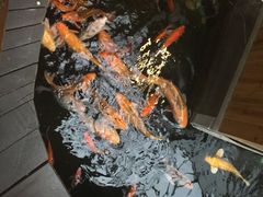 -上海大自然野生昆虫馆(东方明珠·爬宠昆虫探索中心)