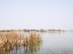 -金银湖国家城市湿地公园