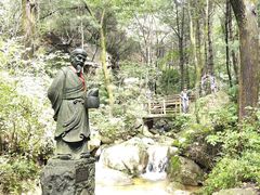-王顺山国家森林公园