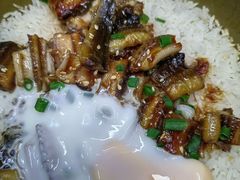 -红星光发煲仔饭(文海店)
