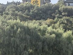 -北山公园