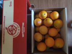 -叁宫礼水果批发仓储店(梅江店)
