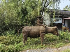 -溱湖国家湿地公园