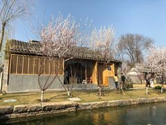 -春风习习
