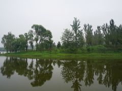 -东郊湿地公园