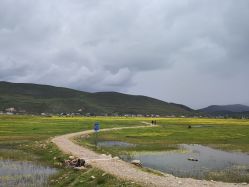 -纳帕海依拉草原